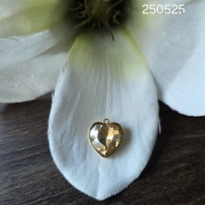 Champagne/goud hart 15*13mm (RVS)