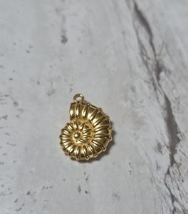 Zeeschelp 21*15mm RVS (gk)